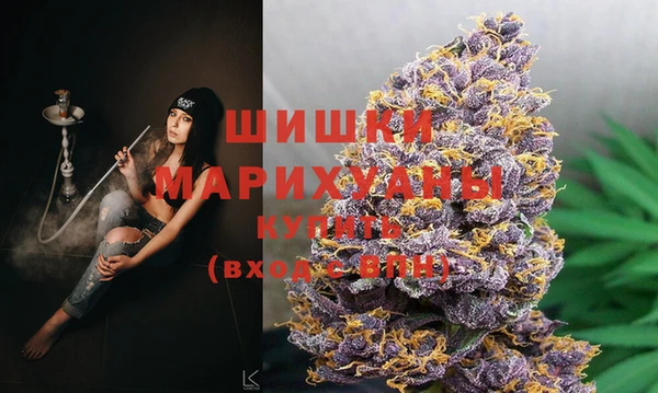 стафф Заволжье