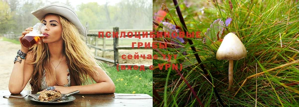 винт Заводоуковск