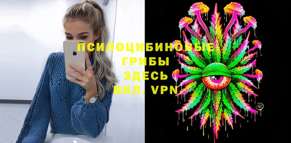 индика Заволжск