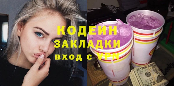 индика Заволжск