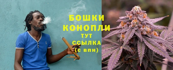 индика Заволжск