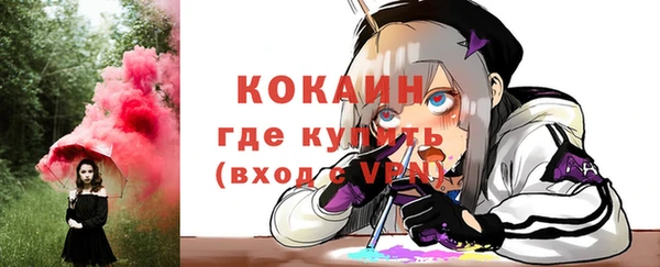 индика Заволжск